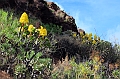2016-11-07_145614 gran-canaria-2016